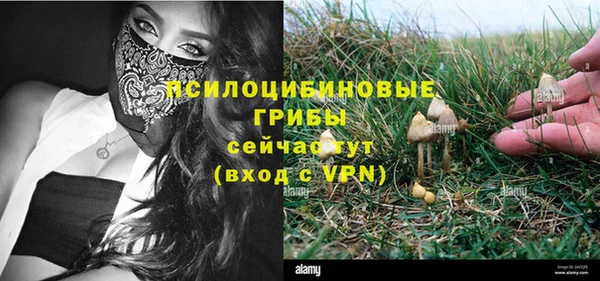 эйфоретик Вязники