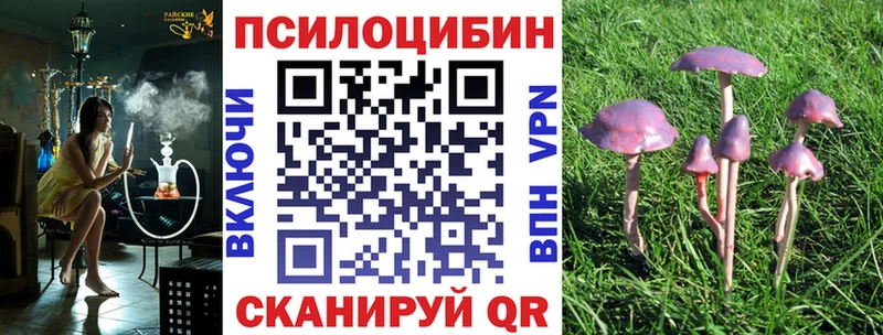 Галлюциногенные грибы мухоморы  где найти наркотики  Далматово 