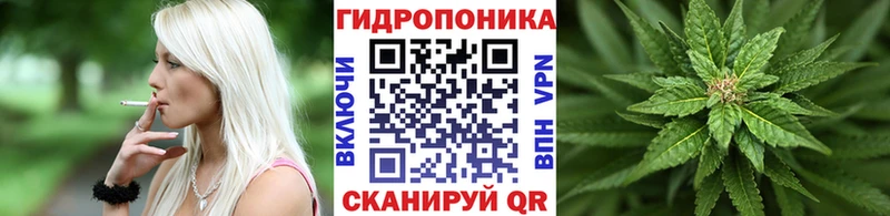 Бошки марихуана конопля Далматово